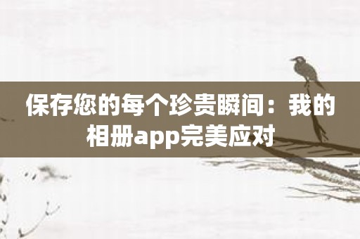 保存您的每个珍贵瞬间：我的相册app完美应对