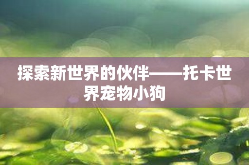 探索新世界的伙伴——托卡世界宠物小狗