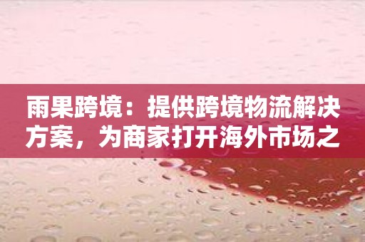 雨果跨境：提供跨境物流解决方案，为商家打开海外市场之门