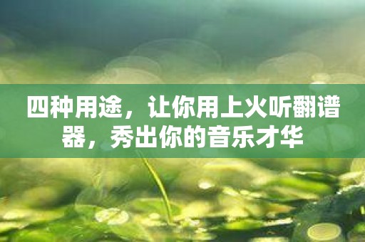 四种用途，让你用上火听翻谱器，秀出你的音乐才华