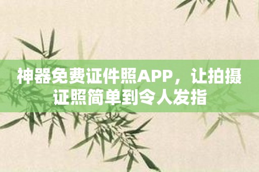 神器免费证件照APP，让拍摄证照简单到令人发指