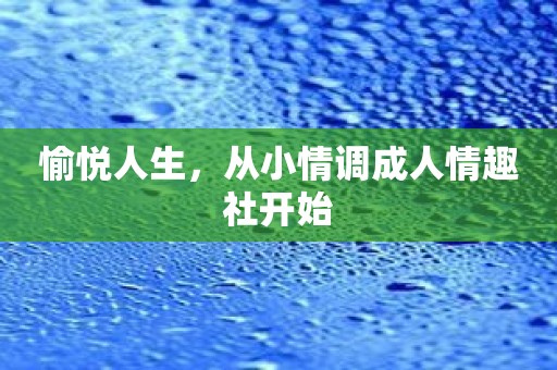 愉悦人生，从小情调成人情趣社开始