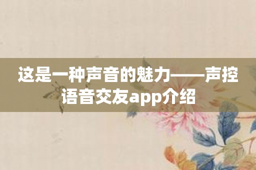 这是一种声音的魅力——声控语音交友app介绍