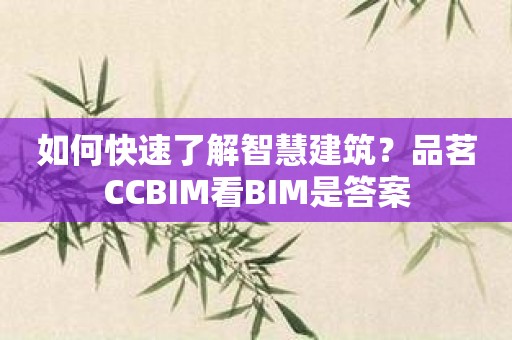 如何快速了解智慧建筑？品茗CCBIM看BIM是答案