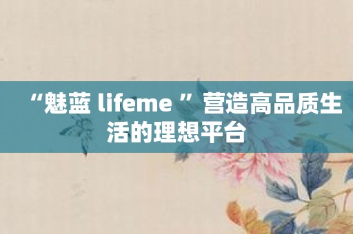 “魅蓝 lifeme ”营造高品质生活的理想平台