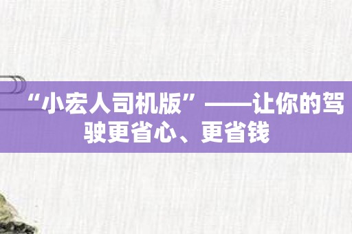 “小宏人司机版”——让你的驾驶更省心、更省钱