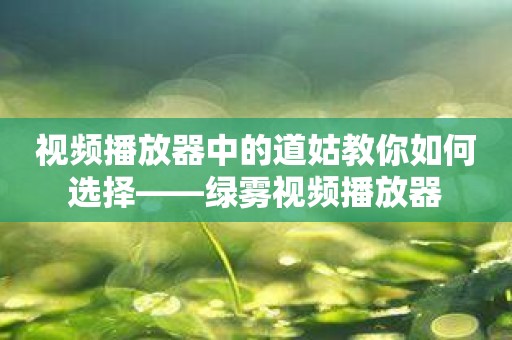 视频播放器中的道姑教你如何选择——绿雾视频播放器