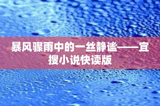 暴风骤雨中的一丝静谧——宜搜小说快读版