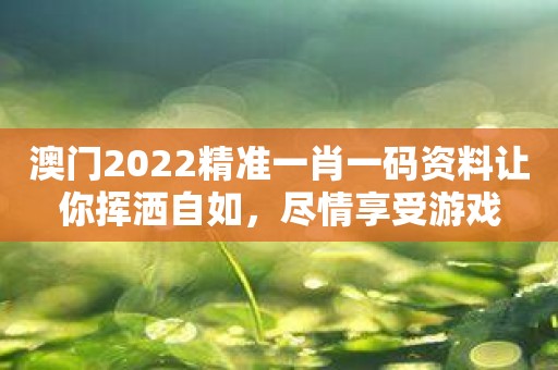 澳门2022精准一肖一码资料让你挥洒自如，尽情享受游戏