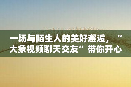 一场与陌生人的美好邂逅，“大象视频聊天交友”带你开心聊天