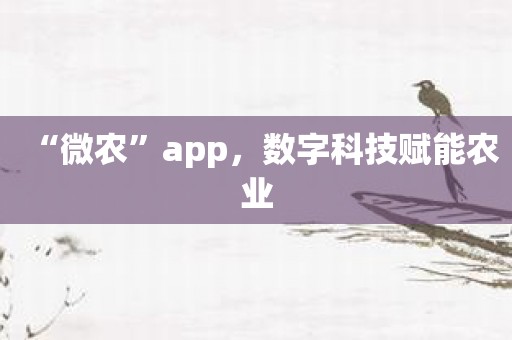 “微农”app，数字科技赋能农业