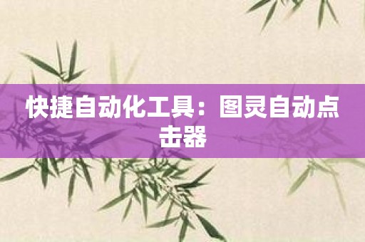 快捷自动化工具：图灵自动点击器