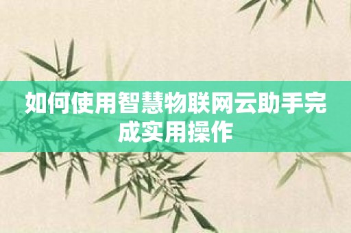 如何使用智慧物联网云助手完成实用操作