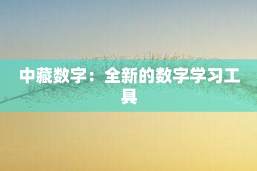 中藏数字：全新的数字学习工具