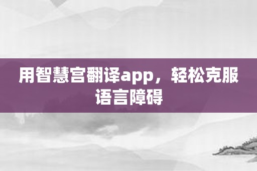 用智慧宫翻译app，轻松克服语言障碍