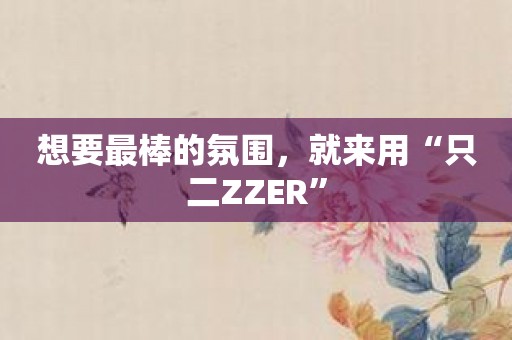 想要最棒的氛围，就来用“只二ZZER”