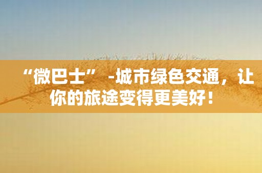 “微巴士” -城市绿色交通，让你的旅途变得更美好！