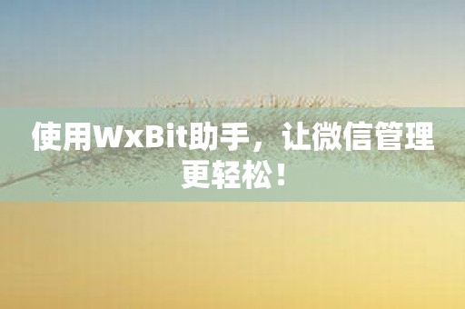 使用WxBit助手，让微信管理更轻松！