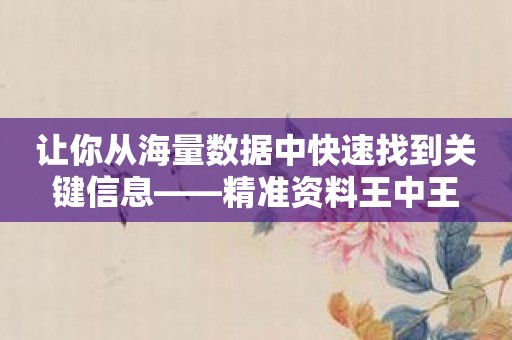 让你从海量数据中快速找到关键信息——精准资料王中王