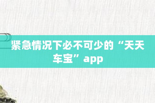 紧急情况下必不可少的“天天车宝”app