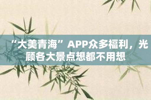 “大美青海”APP众多福利，光顾各大景点想都不用想