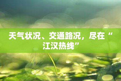 天气状况、交通路况，尽在“江汉热线”