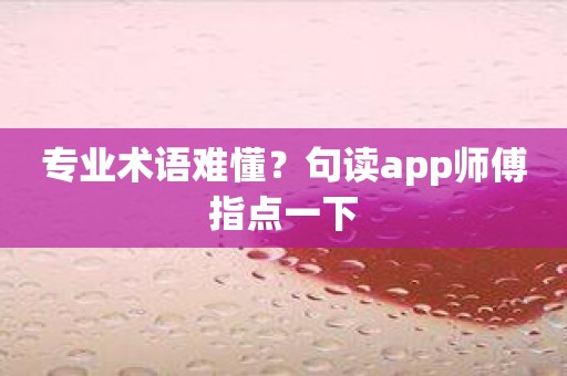 专业术语难懂？句读app师傅指点一下