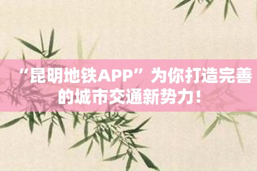 “昆明地铁APP”为你打造完善的城市交通新势力！