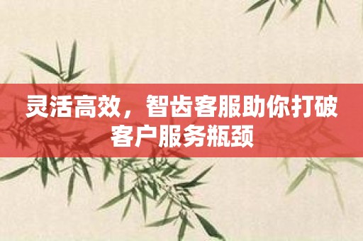 灵活高效，智齿客服助你打破客户服务瓶颈