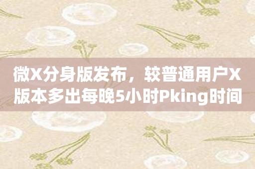 微X分身版发布，较普通用户X版本多出每晚5小时Pking时间