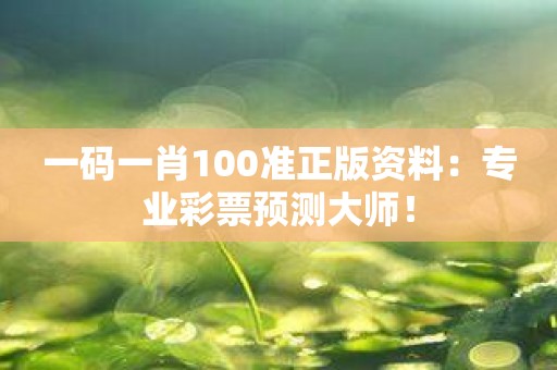 一码一肖100准正版资料：专业彩票预测大师！