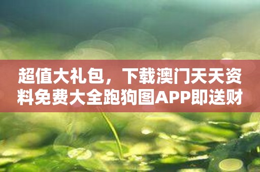 超值大礼包，下载澳门天天资料免费大全跑狗图APP即送财神大奖