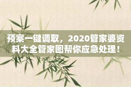 预案一键调取，2020管家婆资料大全管家图帮你应急处理！