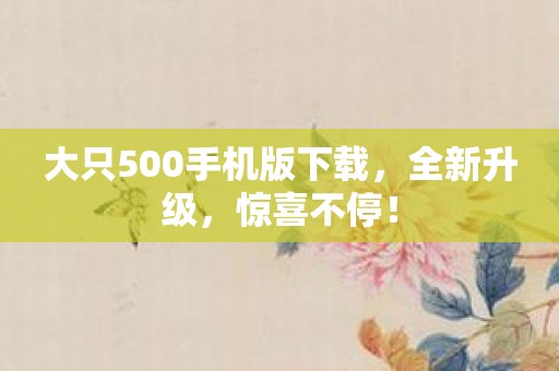 大只500手机版下载，全新升级，惊喜不停！