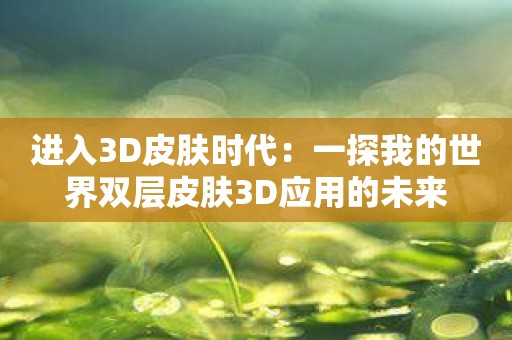 进入3D皮肤时代：一探我的世界双层皮肤3D应用的未来