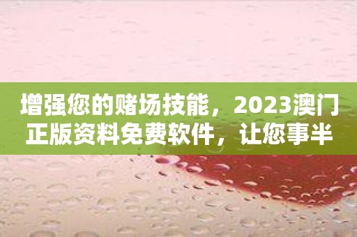 增强您的赌场技能，2023澳门正版资料免费软件，让您事半功倍