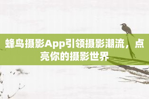 蜂鸟摄影App引领摄影潮流，点亮你的摄影世界