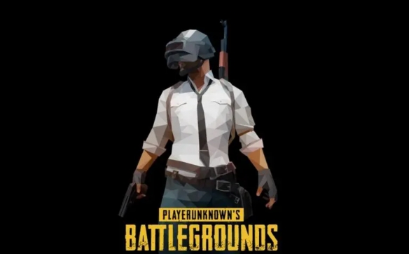 pubg国服还会上线吗-pubg国服介绍