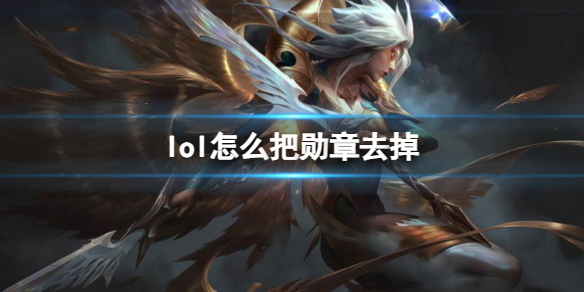 lol怎么把勋章去掉-lol取消勋章方法介绍