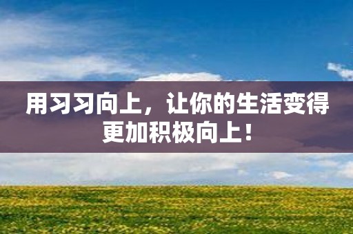 用习习向上，让你的生活变得更加积极向上！