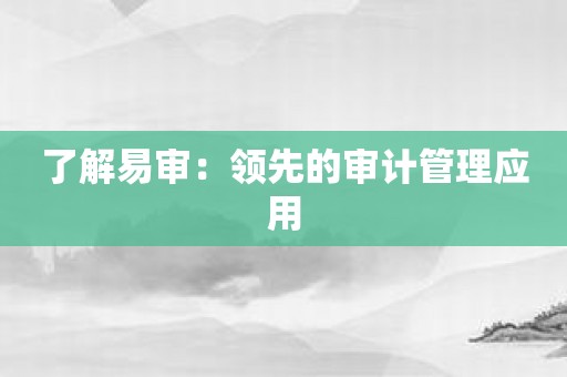 了解易审：领先的审计管理应用