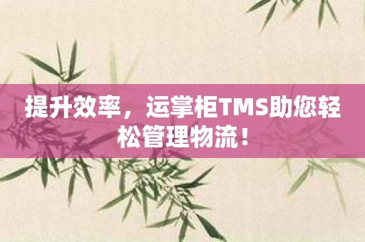 提升效率，运掌柜TMS助您轻松管理物流！