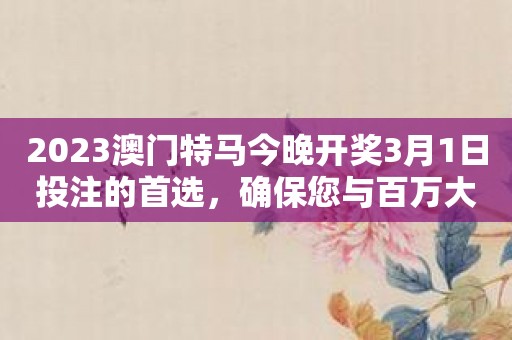 2023澳门特马今晚开奖3月1日投注的首选，确保您与百万大奖擦肩而过