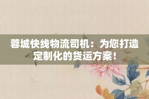 蓉城快线物流司机：为您打造定制化的货运方案！