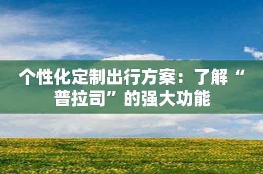 个性化定制出行方案：了解“普拉司”的强大功能