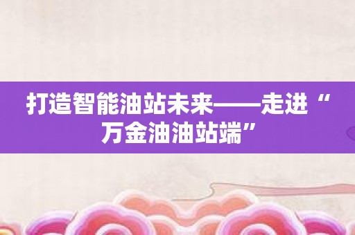 打造智能油站未来——走进“万金油油站端”