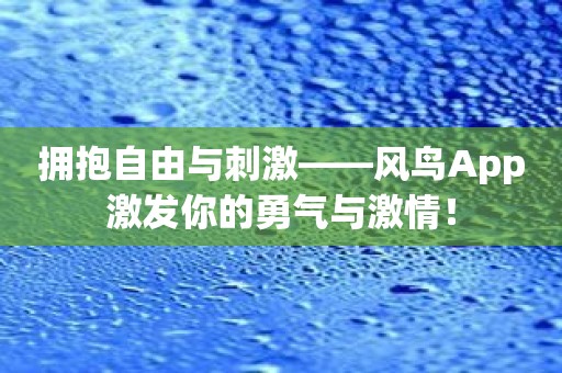 拥抱自由与刺激——风鸟App激发你的勇气与激情！