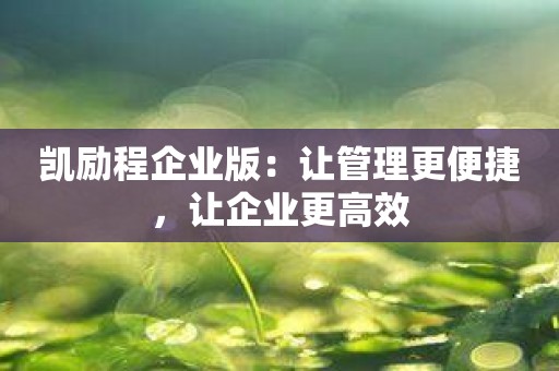 凯励程企业版：让管理更便捷，让企业更高效