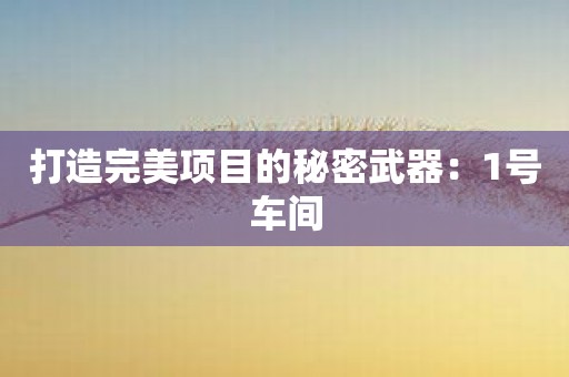 打造完美项目的秘密武器：1号车间