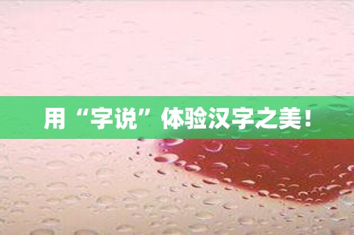 用“字说”体验汉字之美！